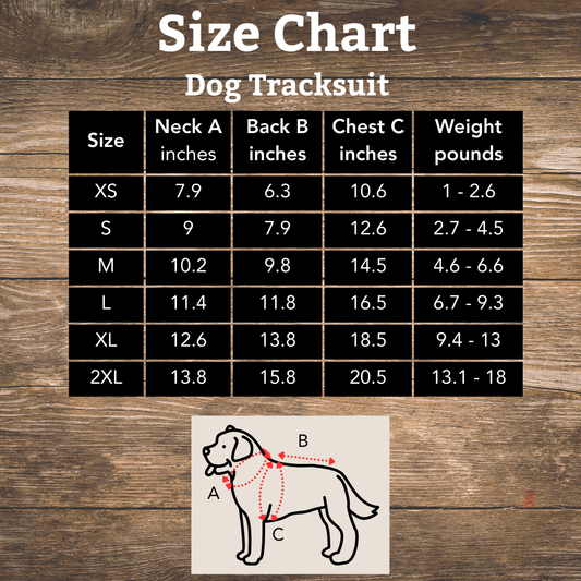 Casual Warm Dog Tracksuit - Infinity Dog