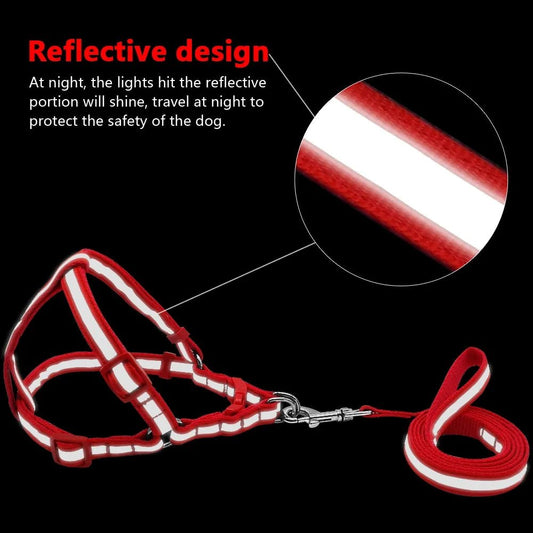 Dog Leash Set - Infinity Dog