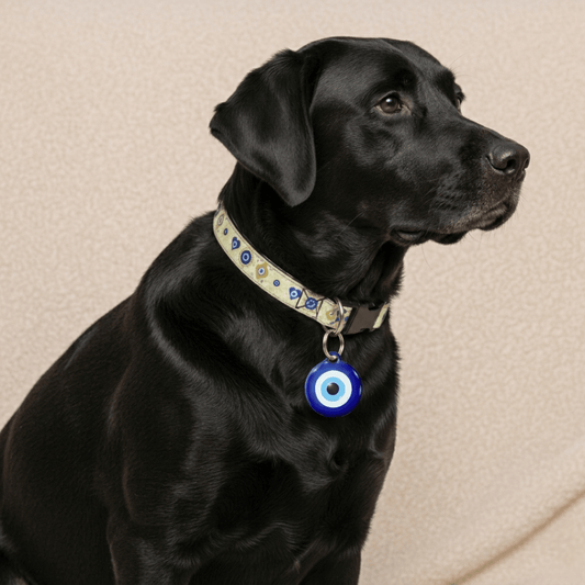 Evil Eye Dog Collar & ID Tag — Complete Pup Protection - Infinity Dog
