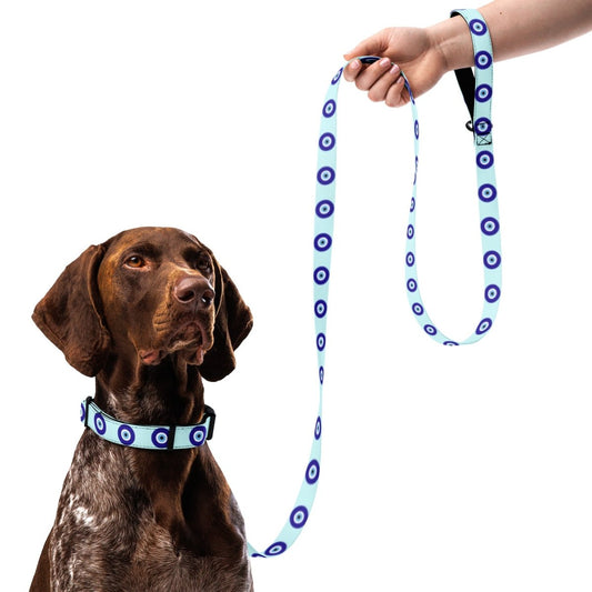 Evil Eye Dog Leash & Collar Set - Blue - Cool Gear Pro