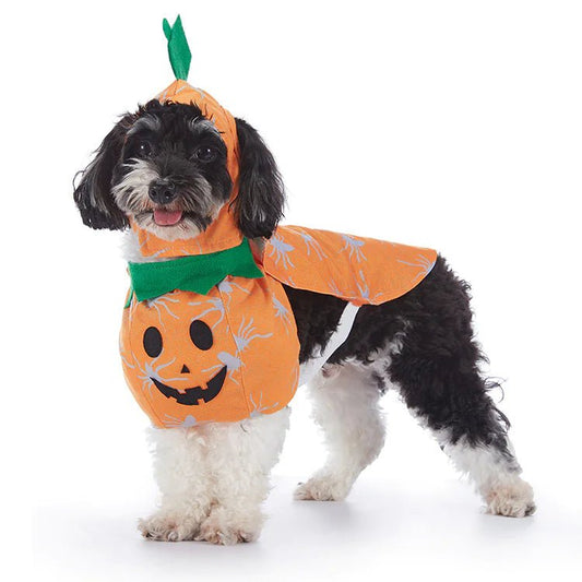 Halloween Dog Costumes - Infinity Dog