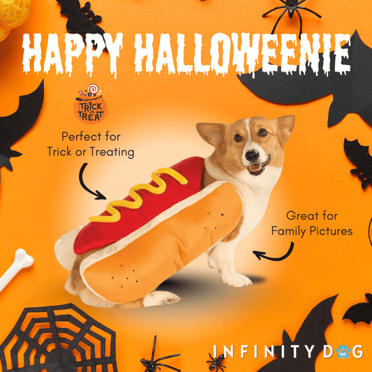 Hot Dog Halloween Costume for Dogs - Cool Gear Pro