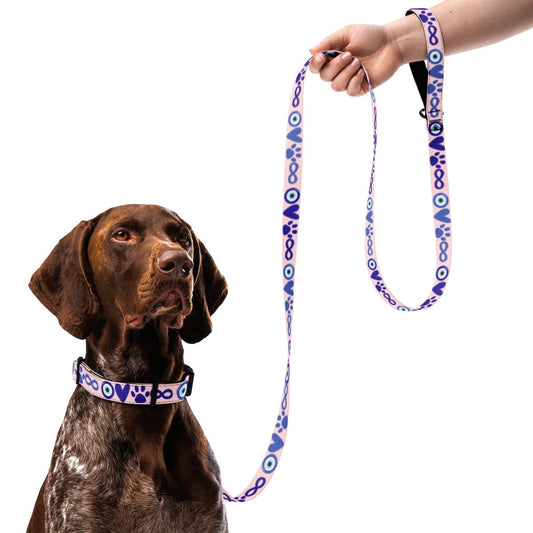 I Love Dogs to Infinity Leash & Collar - Pink - Cool Gear Pro