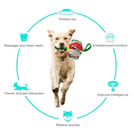 Interactive Collapsing Dog Toy - Cool Gear Pro