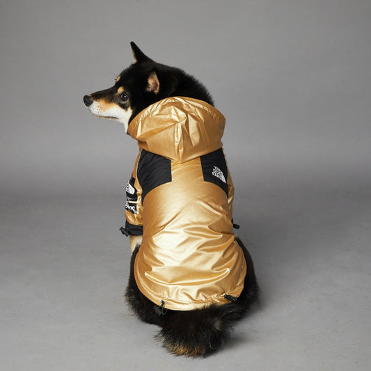 Polyester Dog Raincoat — Waterproof & Lightweight - Infinity Dog