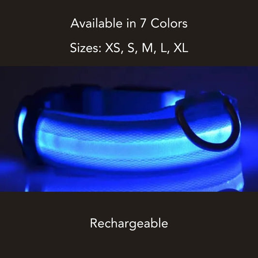 Rechargeable Nylon LED Dog Collar - Cool Gear Pro