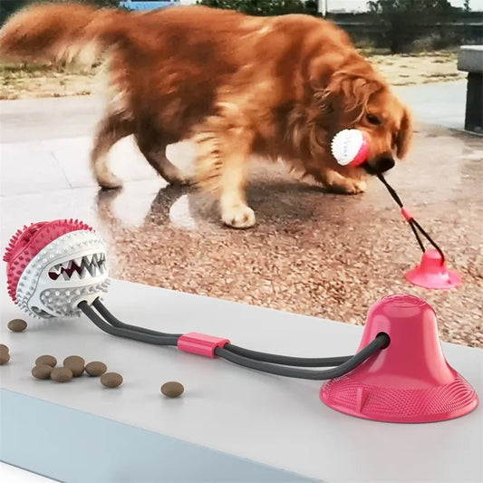 Suction Ball Interactive Dog Toy - Cool Gear Pro