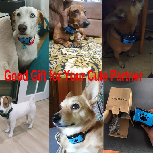 Ultrasonic Anti-Bark Dog Training Collar - Infinity Dog