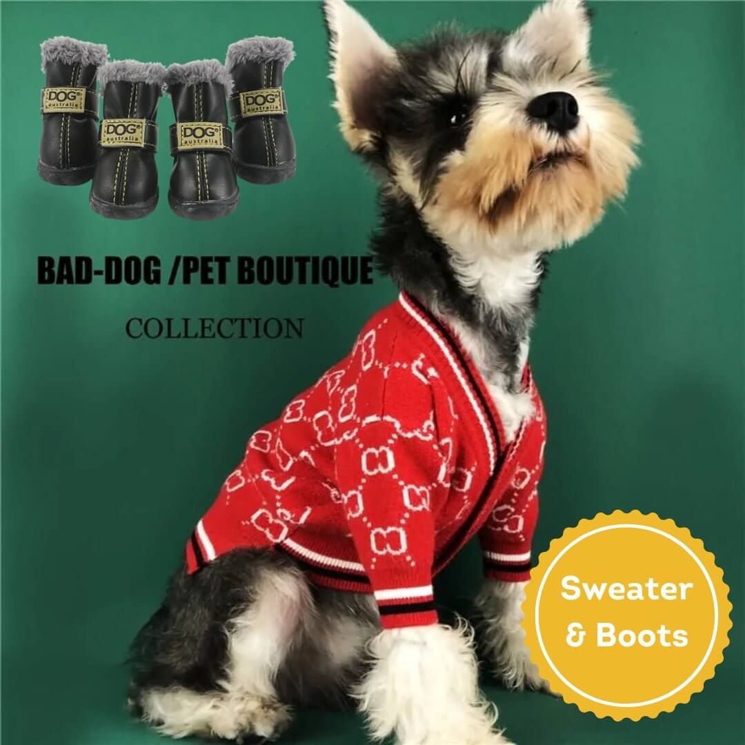 Stylish Dog Apparel - Upgrade Fido's Threads Today! – Infinity Dog