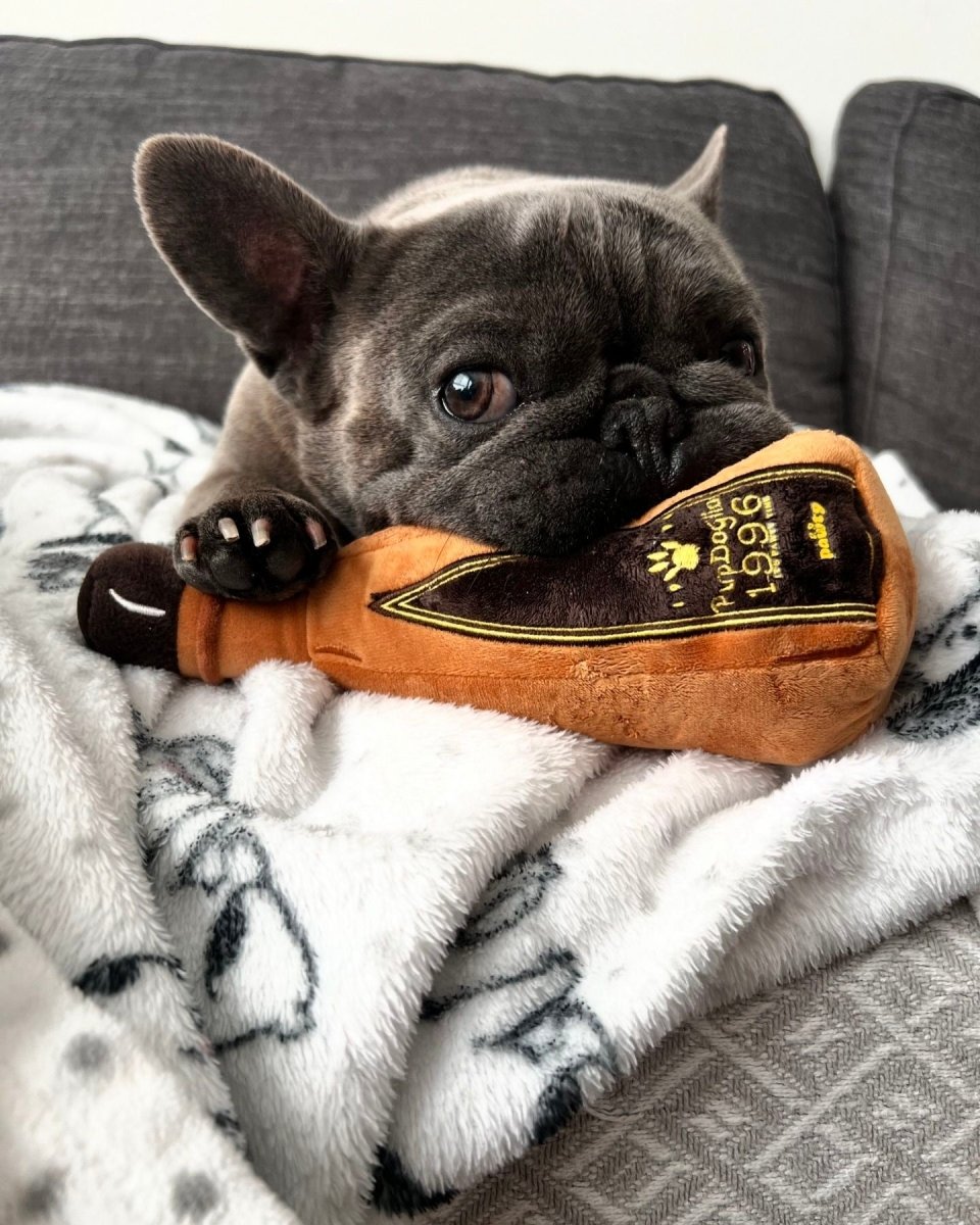 1996 TEQUILA PLUSH DOG TOY - Cool Gear Pro