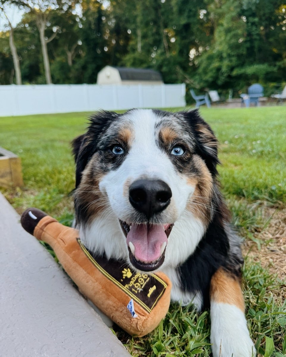 1996 TEQUILA PLUSH DOG TOY - Cool Gear Pro