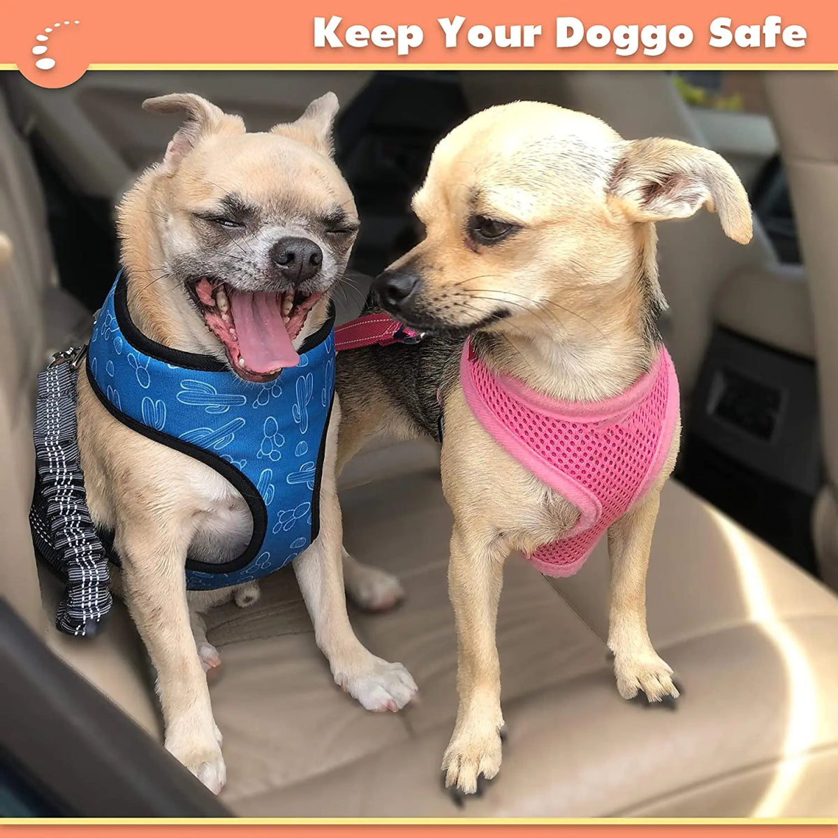 2 Pack Adjustable Car Dog Harness - Cool Gear Pro