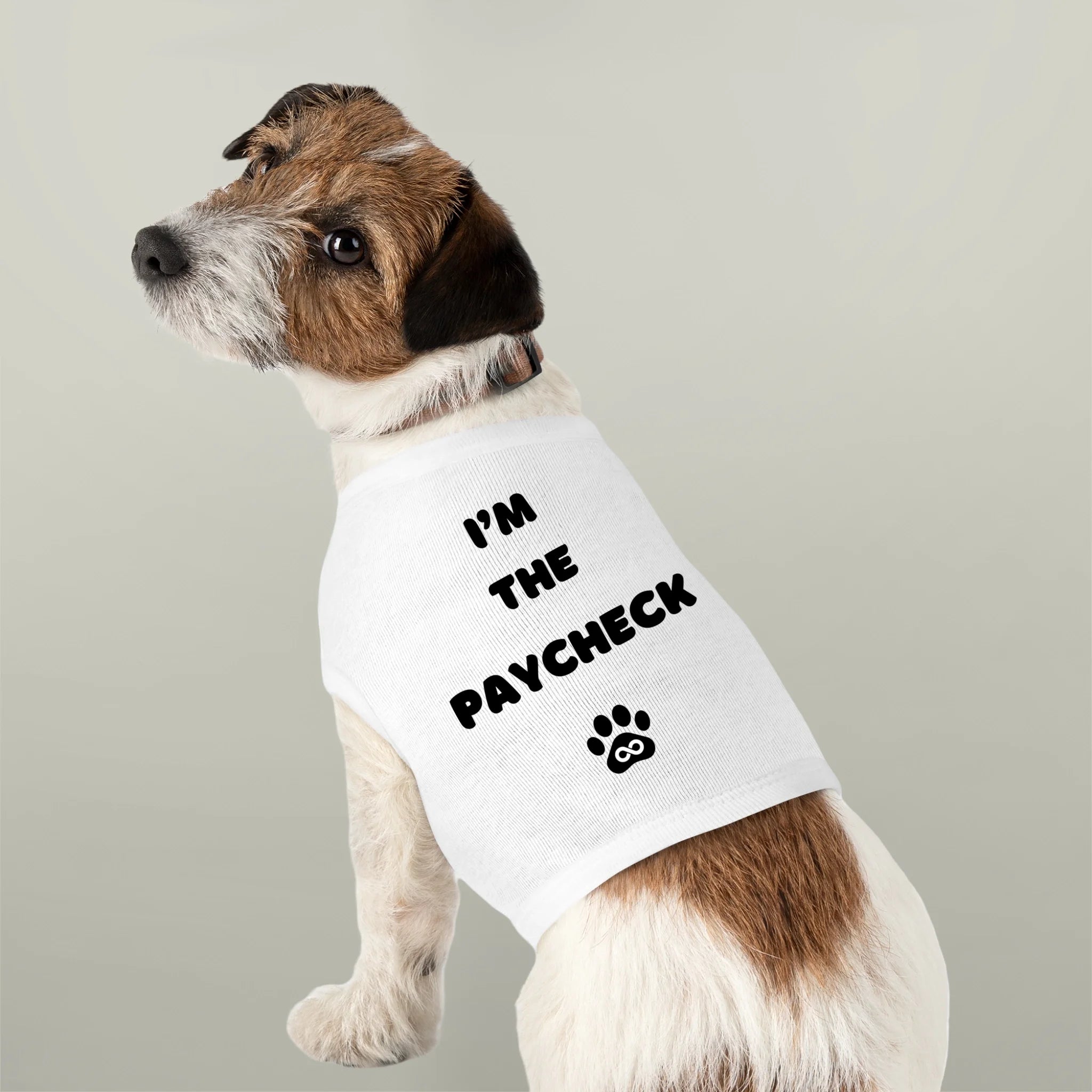 I Work For A Paycheck