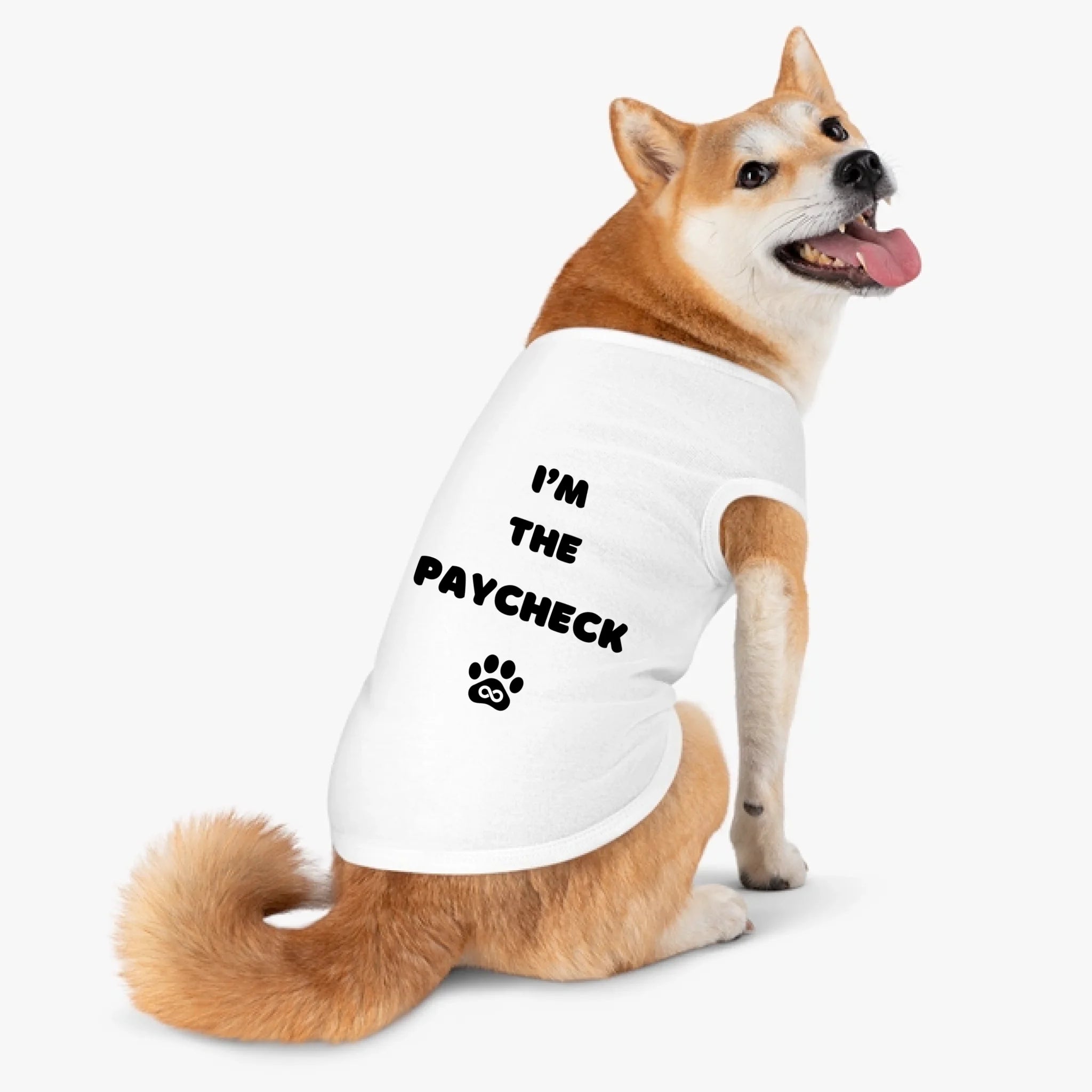 I Work For A Paycheck