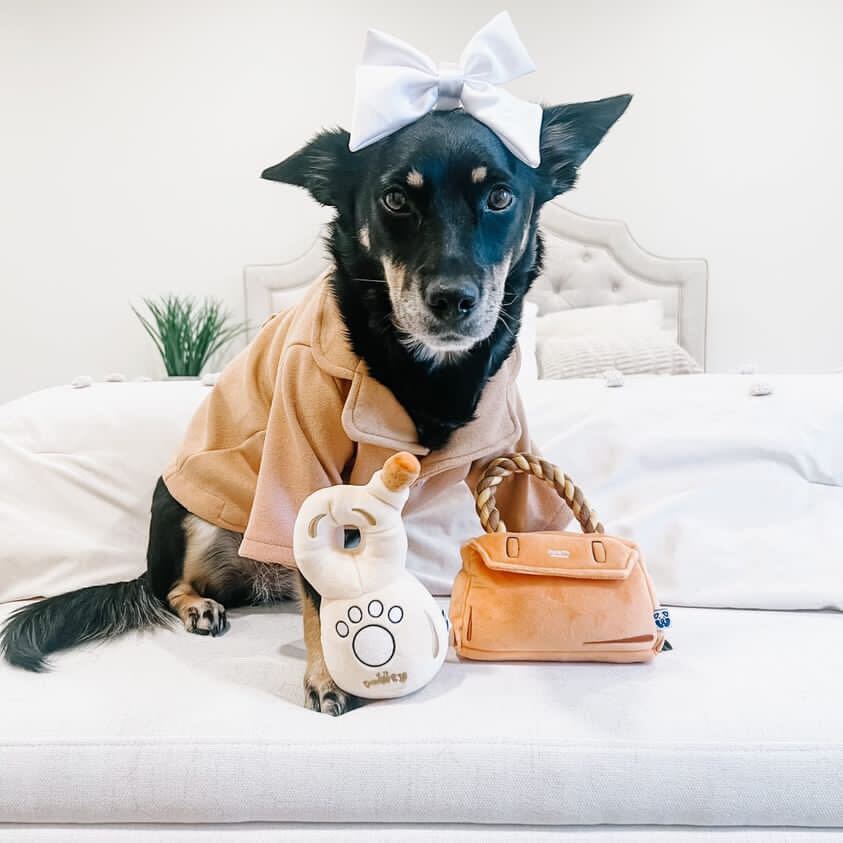 888 TEQUILA - Cool Gear Pro