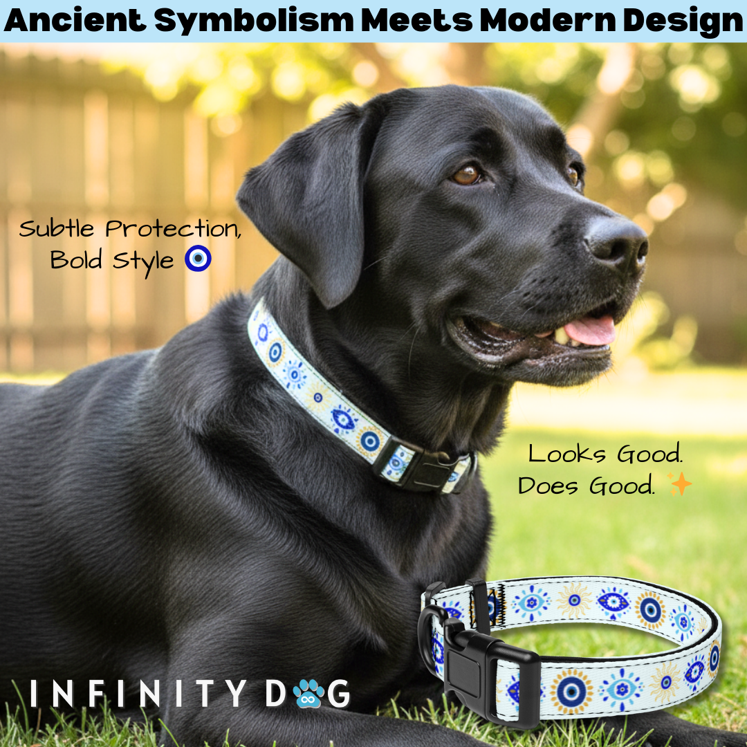 Black Labrador Retriever sitting on grass wearing evil eye dog collar