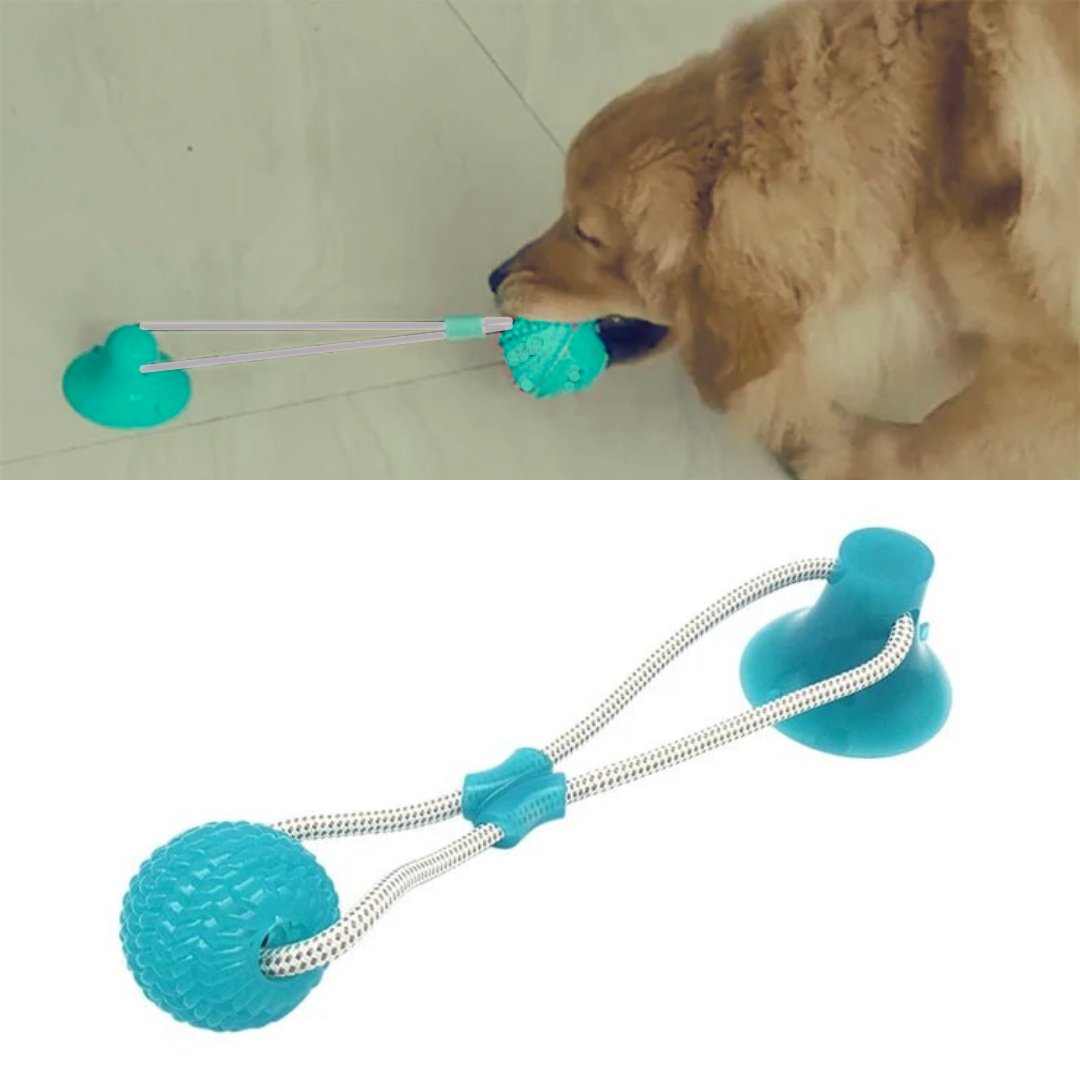 Amazing Dog Toy Bundle - Cool Gear Pro