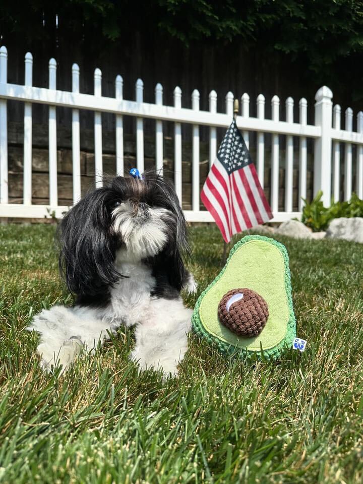 AVOCADO PLUSH DOG TOY - Cool Gear Pro
