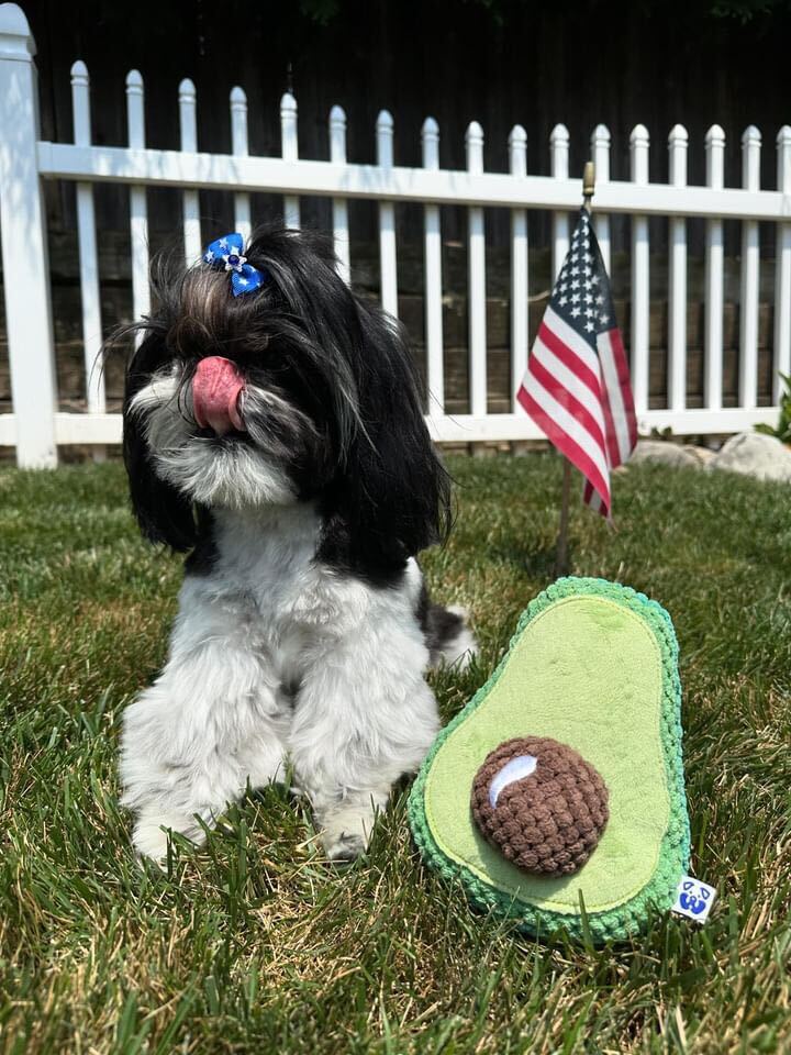 AVOCADO PLUSH DOG TOY - Cool Gear Pro