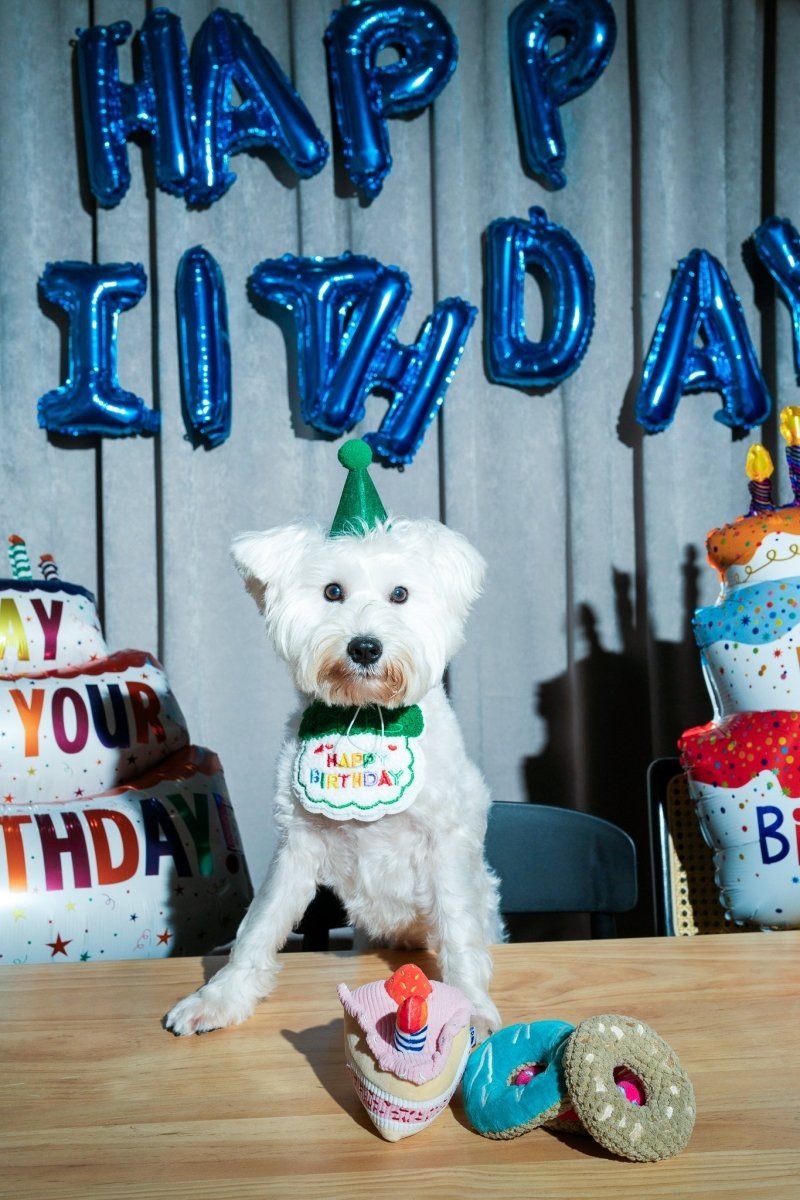 BIRTHDAY BONE - Cool Gear Pro