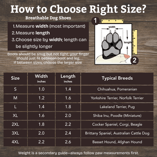 Breathable Dog Shoes - Infinity Dog