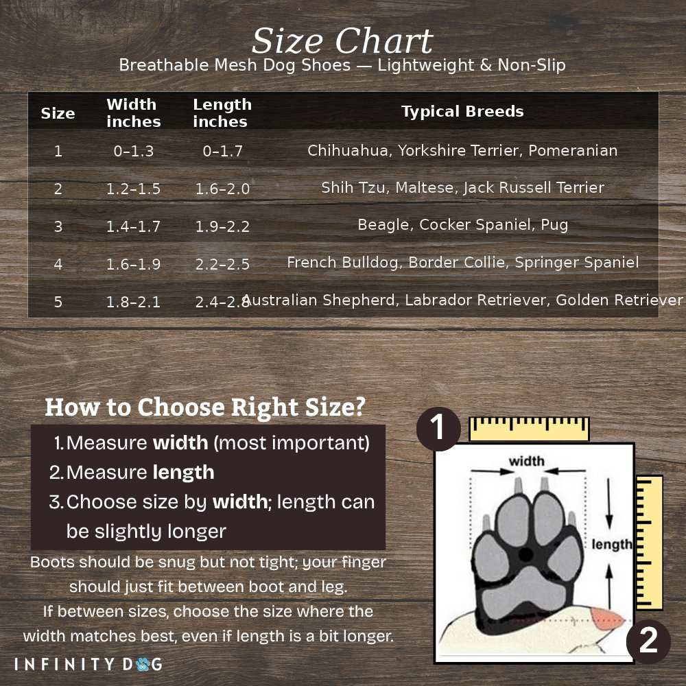 Breathable Mesh Dog Shoes — Lightweight & Non - Slip - Infinity Dog