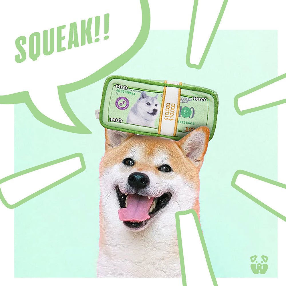 CASH IS KING PLUSH DOG TOY - Cool Gear Pro