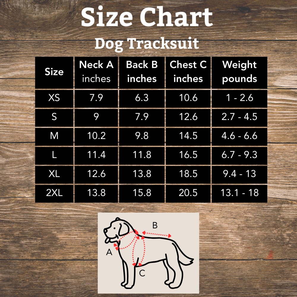 Casual Warm Dog Tracksuit - Infinity Dog
