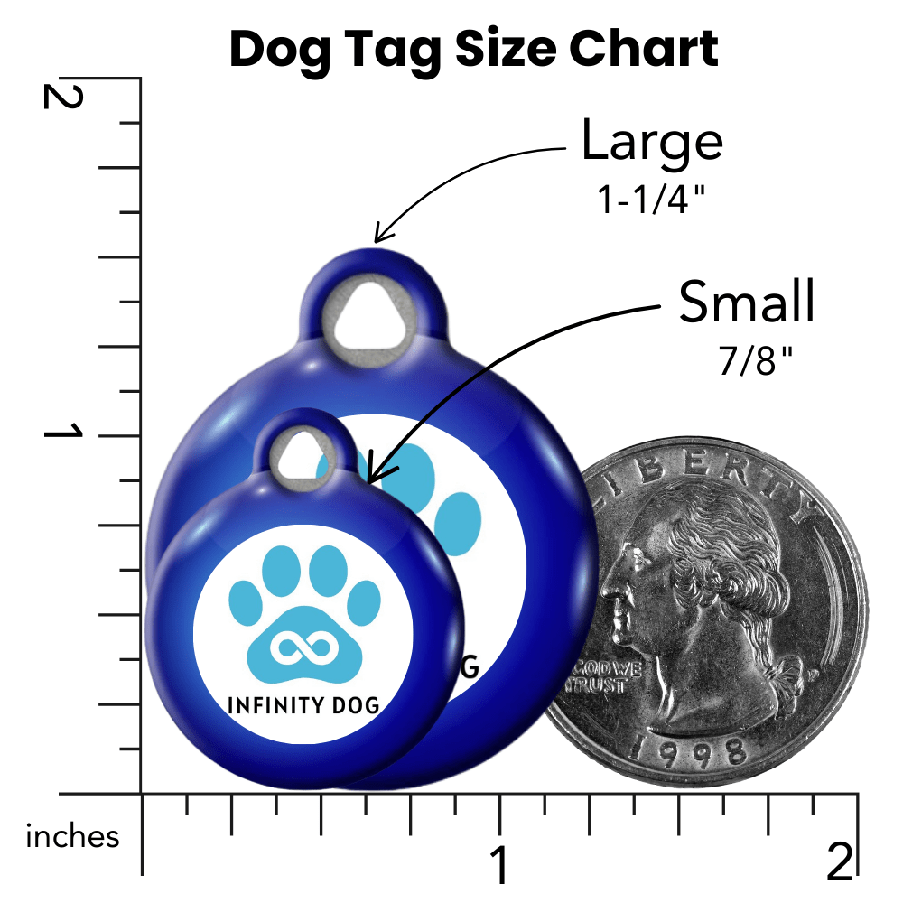Cream Evil Eye Dog Collar & ID Tag — Complete Pup Protection - Infinity Dog