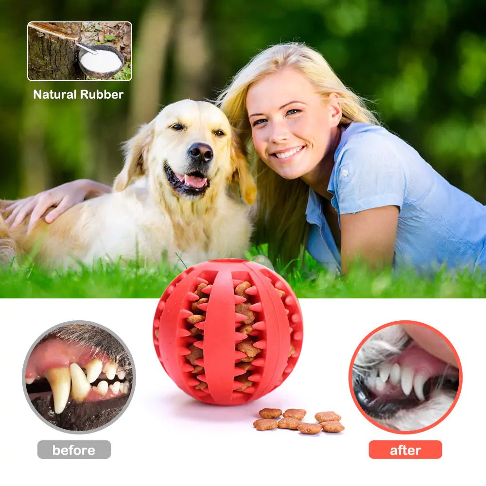 Watermelon Ball Dog Chew Toy - Cool Gear Pro