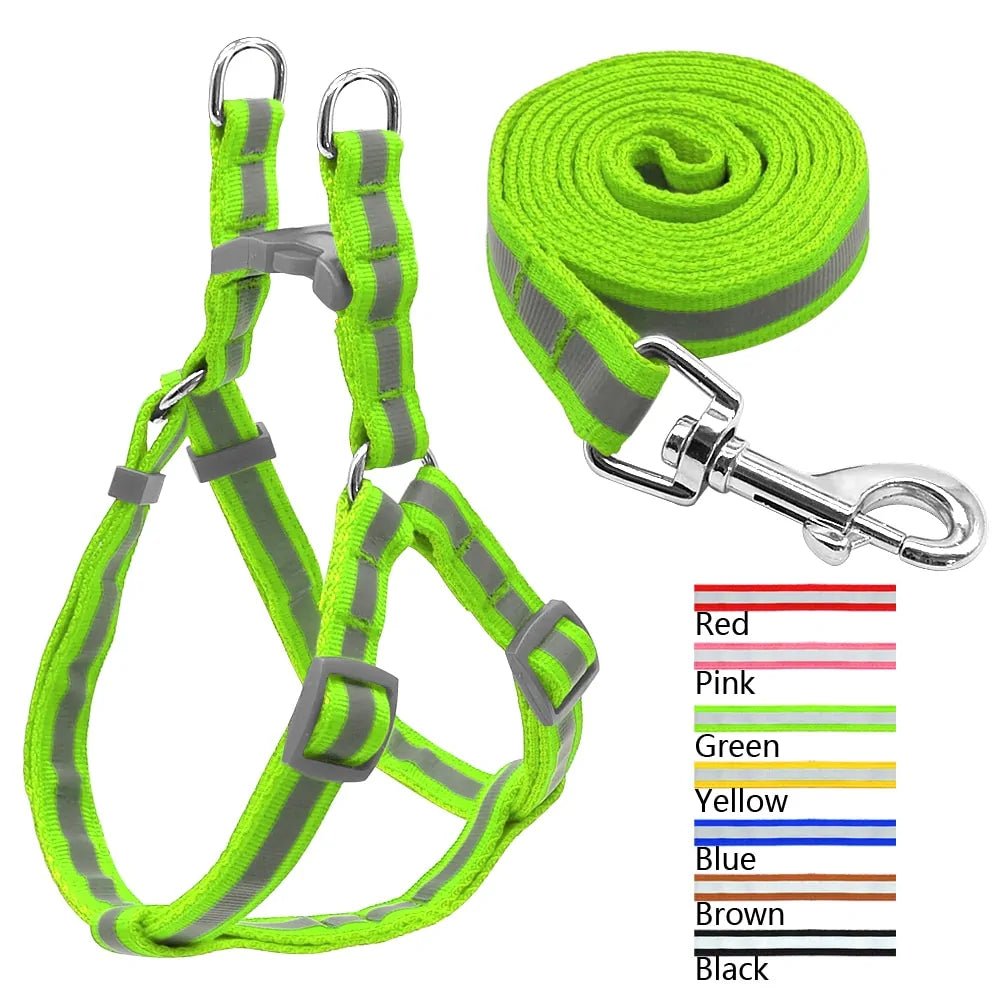 Dog Leash Set - Cool Gear Pro