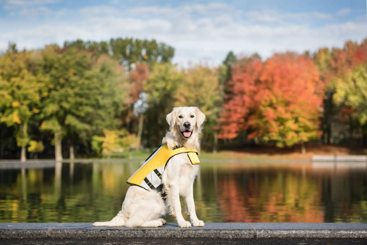 Dog Life Vest Jacket - Cool Gear Pro