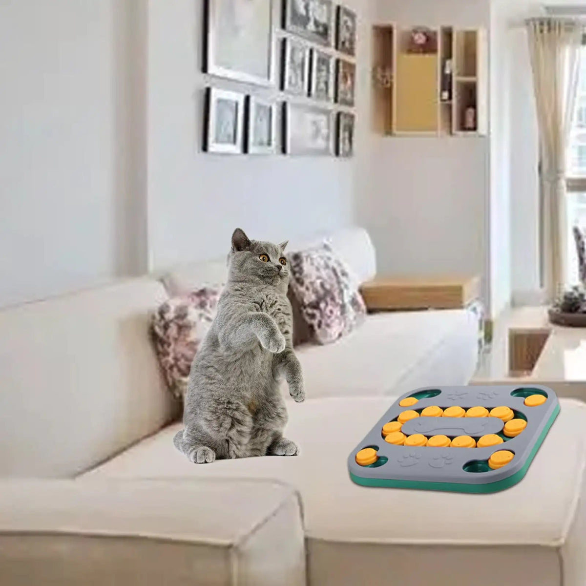 Dog Puzzle Toys - Cool Gear Pro
