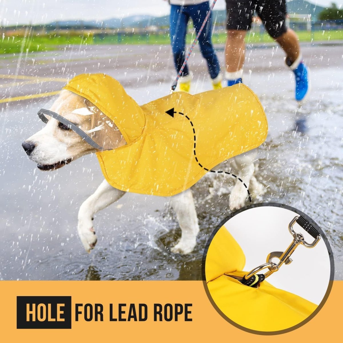 Dog Raincoat with Hood - Infinity Dog