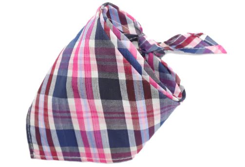 Dog Scarf - Cool Gear Pro
