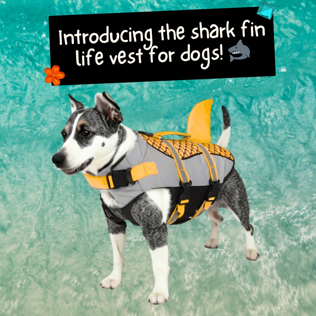 Dog Shark Fin Life Jacket - Cool Gear Pro