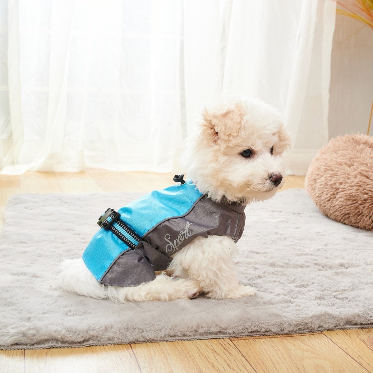 Dog Summer Raincoat - Infinity Dog