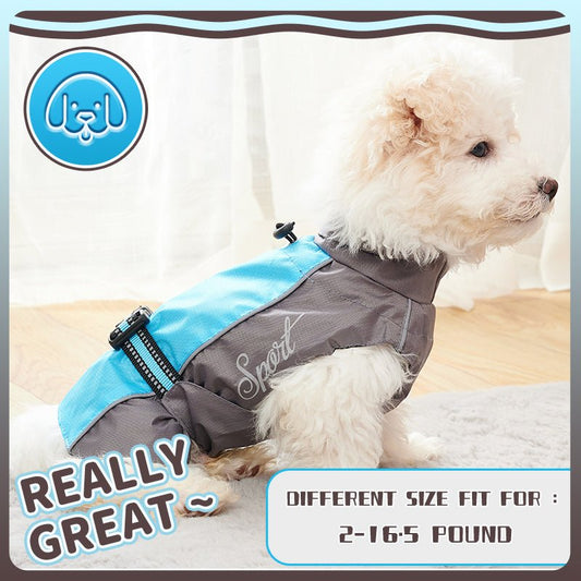 Dog Summer Raincoat - Infinity Dog