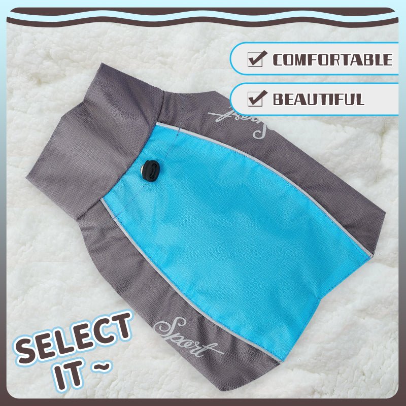 Dog Summer Raincoat - Infinity Dog