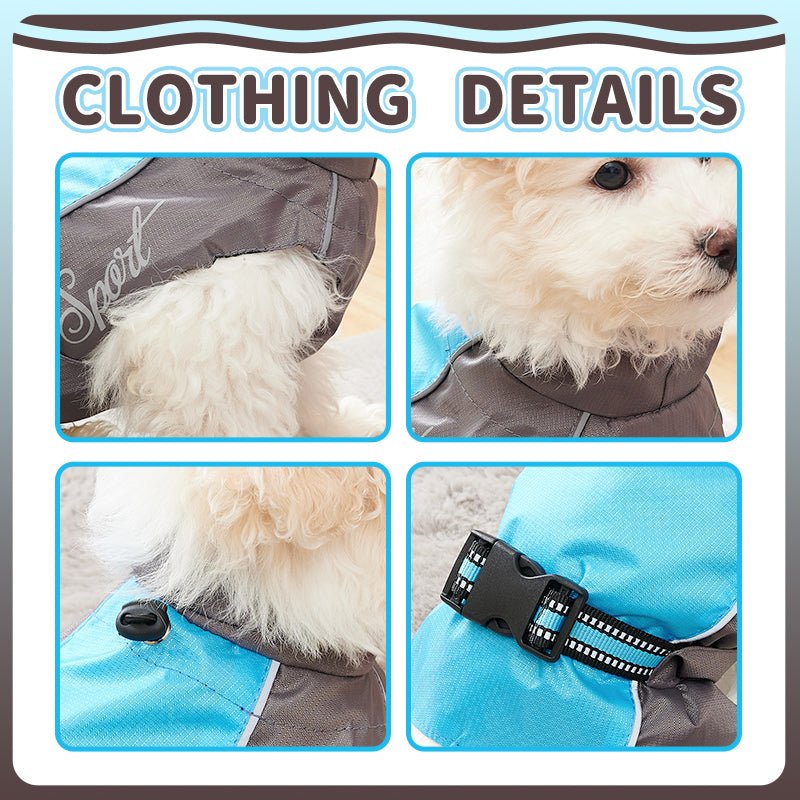 Dog Summer Raincoat - Infinity Dog