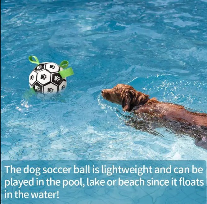Dog Toys Interactive Pet Soccer Ball - Cool Gear Pro