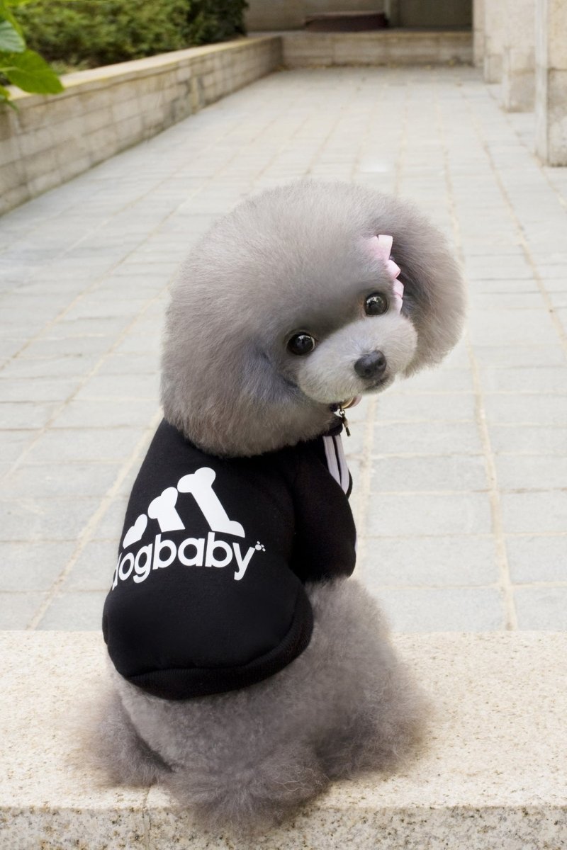 Dog Hoodie Sweatshirt - Dogbaby - Infinity Dog