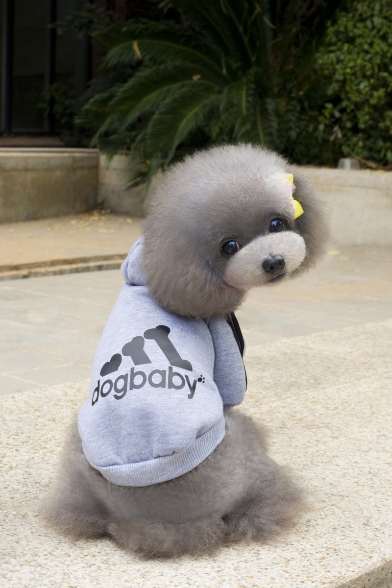 Dog Hoodie Sweatshirt - Dogbaby - Infinity Dog