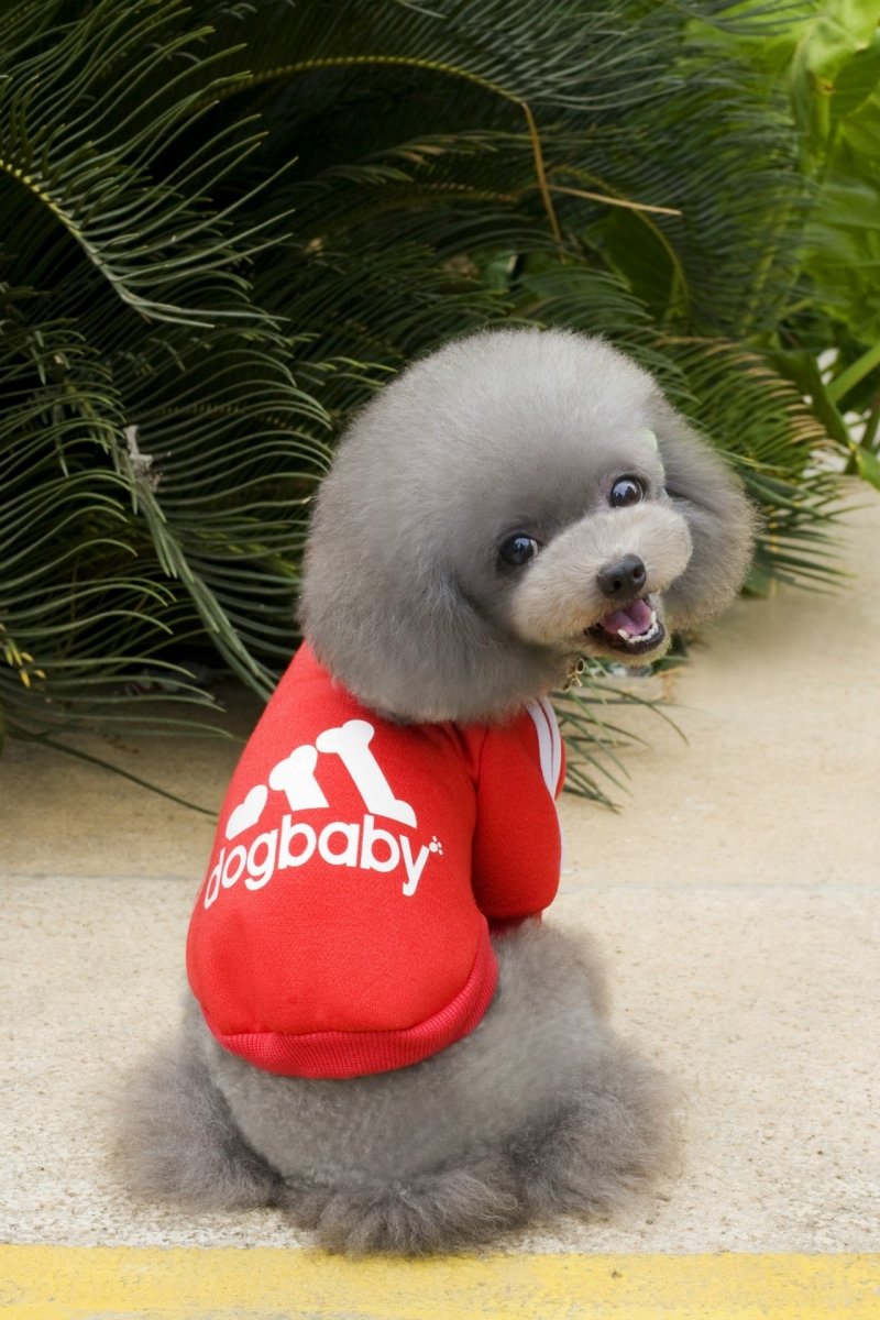 Dog Hoodie Sweatshirt - Dogbaby - Infinity Dog