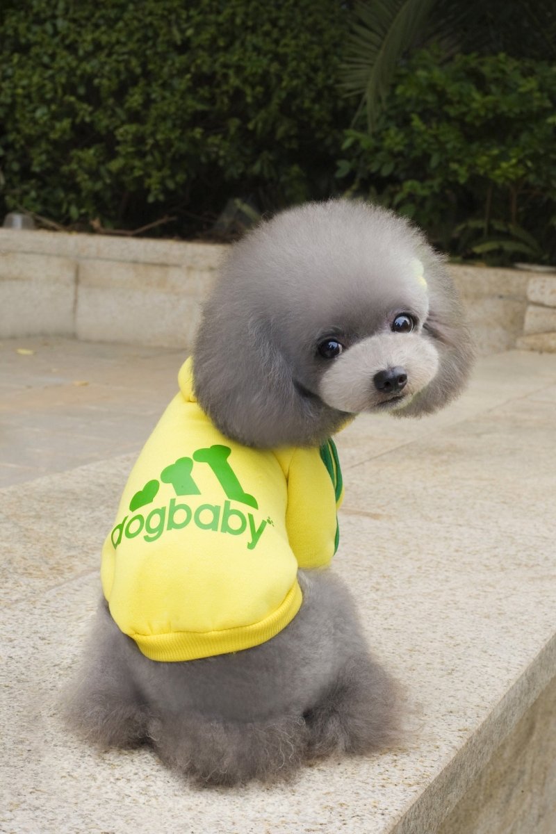 Dog Hoodie Sweatshirt - Dogbaby - Infinity Dog