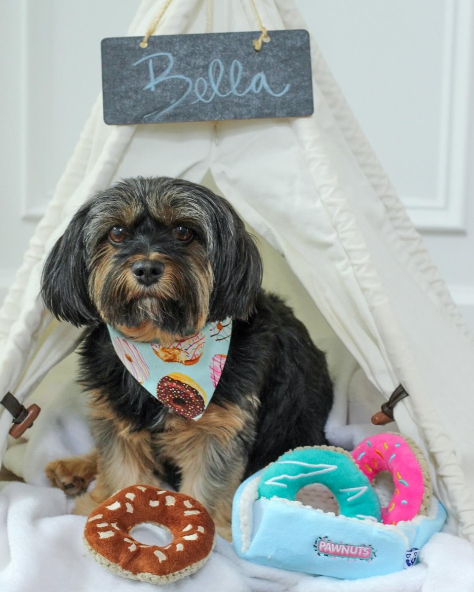 DONUTS INTERACTIVE DOG TOY - Cool Gear Pro