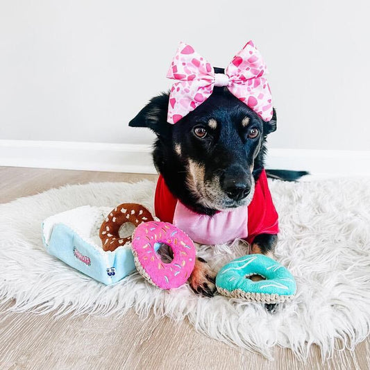 DONUTS INTERACTIVE DOG TOY - Cool Gear Pro