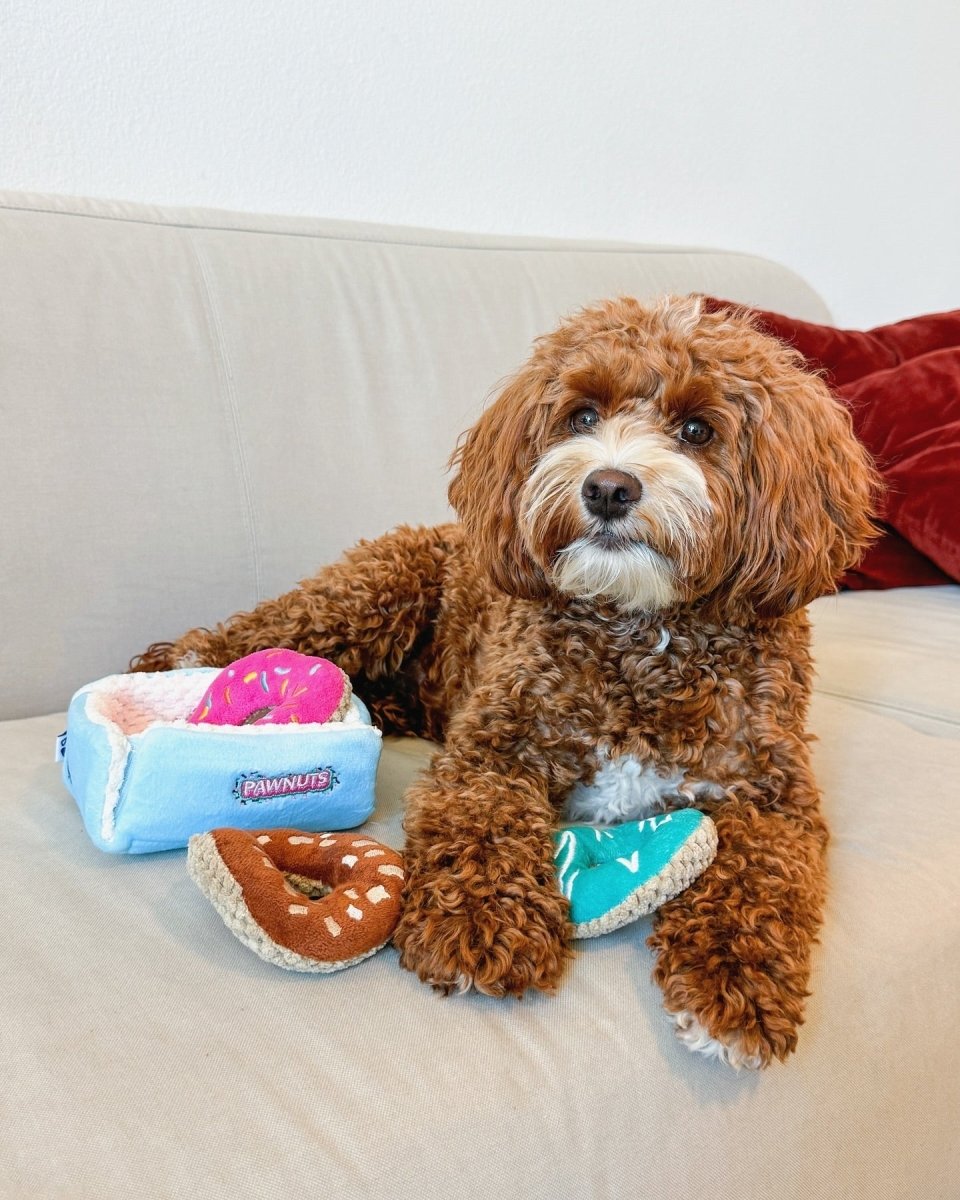 DONUTS INTERACTIVE DOG TOY - Cool Gear Pro