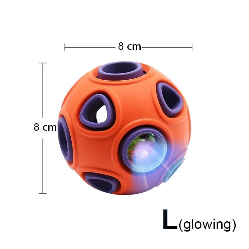 Elastic Dog Ball