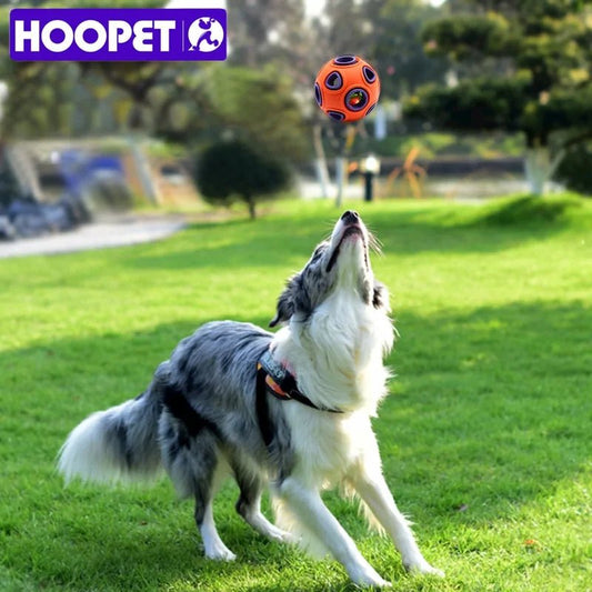 Rubber Dog Ball Toy